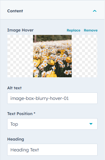 image-box-blurry-hover-2