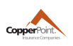 copper-point