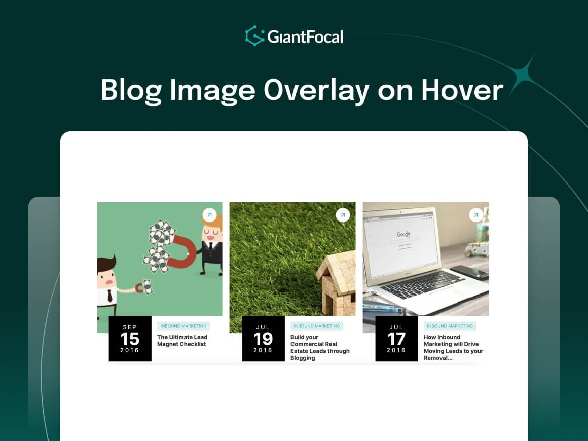 Blog Image Overlay on Hover